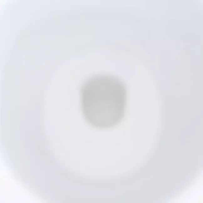 Jak czyścić toaletę z kamienia