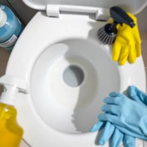 Jak Usunąć Kamień Z Dna Muszli Klozetowej