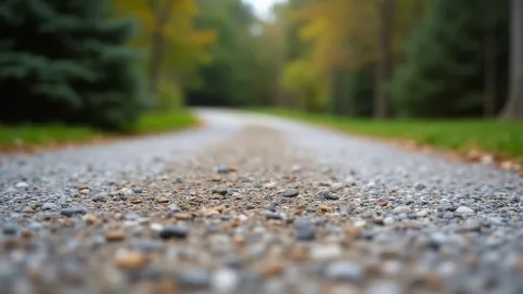 Kamień na podjazd cena za tonę